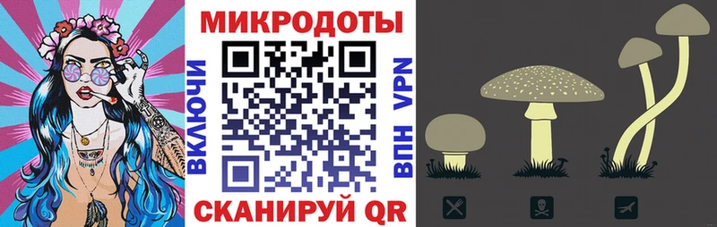Псилоцибиновые грибы Cubensis  Богородицк 