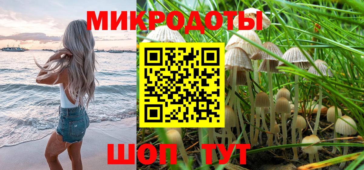 Галлюциногенные грибы Cubensis  Вход с VPN  Богородицк 