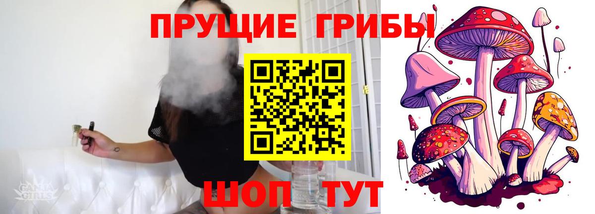 Псилоцибиновые грибы GOLDEN TEACHER Богородицк